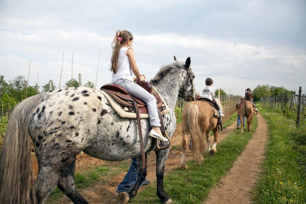 Вілла Cascina Papa Mora Cellarengo Екстер'єр фото